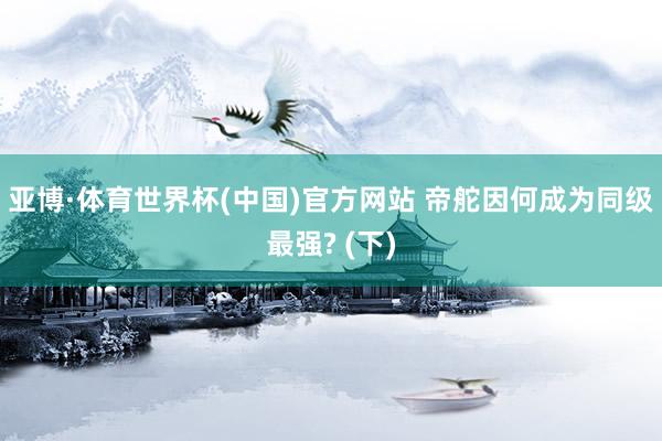 亚博·体育世界杯(中国)官方网站 帝舵因何成为同级最强? (下)