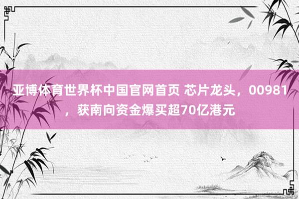 亚博体育世界杯中国官网首页 芯片龙头,00981,获南向资金爆买超70亿港元