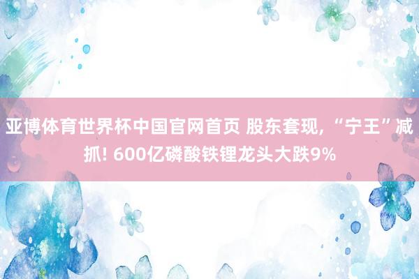 亚博体育世界杯中国官网首页 股东套现, “宁王”减抓! 600亿磷酸铁锂龙头大跌9%