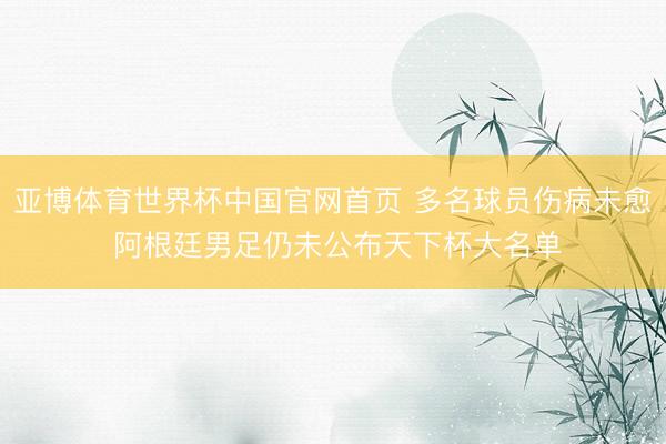 亚博体育世界杯中国官网首页 多名球员伤病未愈 阿根廷男足仍未公布天下杯大名单