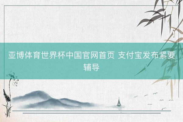 亚博体育世界杯中国官网首页 支付宝发布紧要辅导